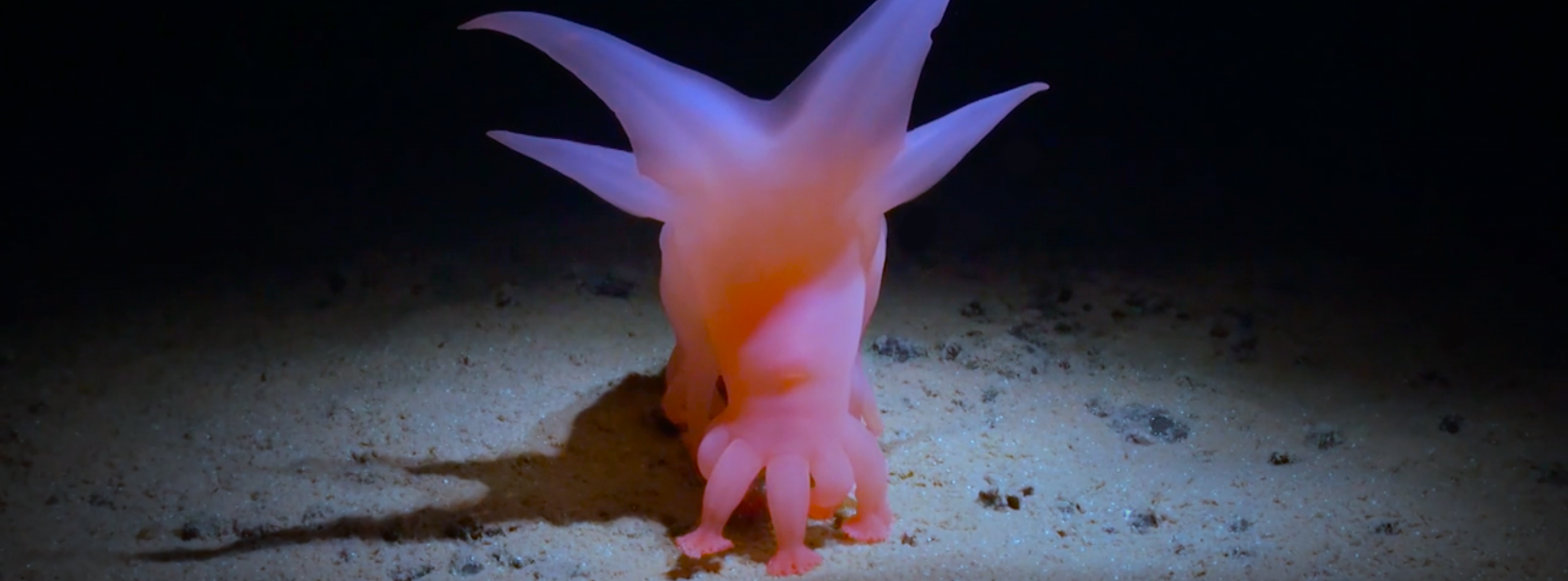 How Deep Is Your Love